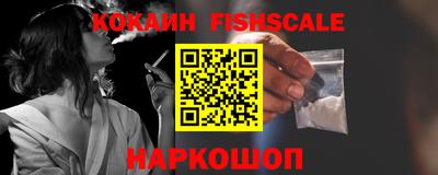 крисы Кулебаки