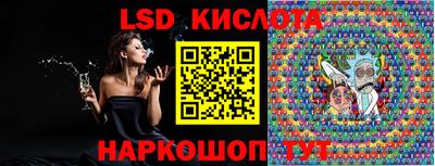 крисы Кулебаки
