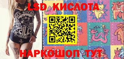 крисы Кулебаки