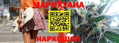 крисы Кулебаки