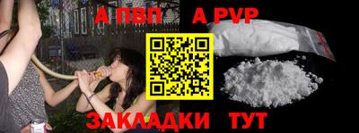 крисы Кулебаки