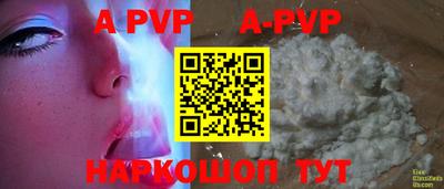 крисы Кулебаки